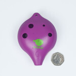 Blowfish Ocarina in C - Class Pack - 20